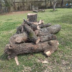Oak Firewood