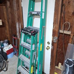2 Step Ladders