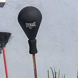 Everlast 