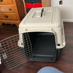A Hard Plastic Pet Carrier Middle Size