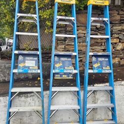 Werner
8 ft. Fiberglass Step Ladder (12 ft. Reach Height) with 250 lb. Load Capacity Type I Duty Rating

