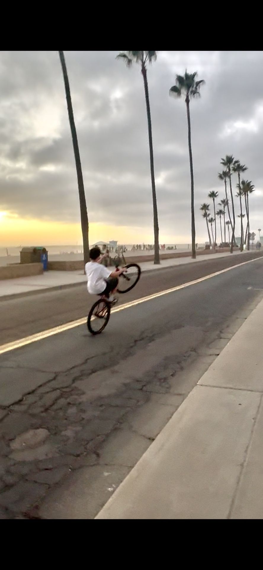 29” throne the goon wheelie bike