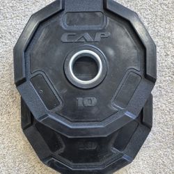 10lb Olympic Barbell Pair 2x