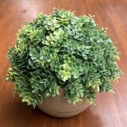Artificial Succulent Orb Ball In Ceramic Pot Decor
