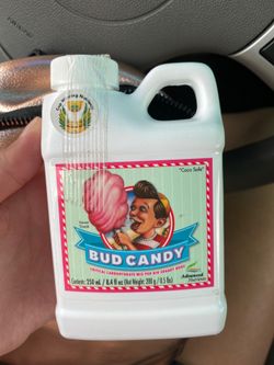 BUD CANDY WEED PLANTS NUTRIENTS