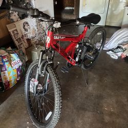 Red Gauntlet Mountain Bike 