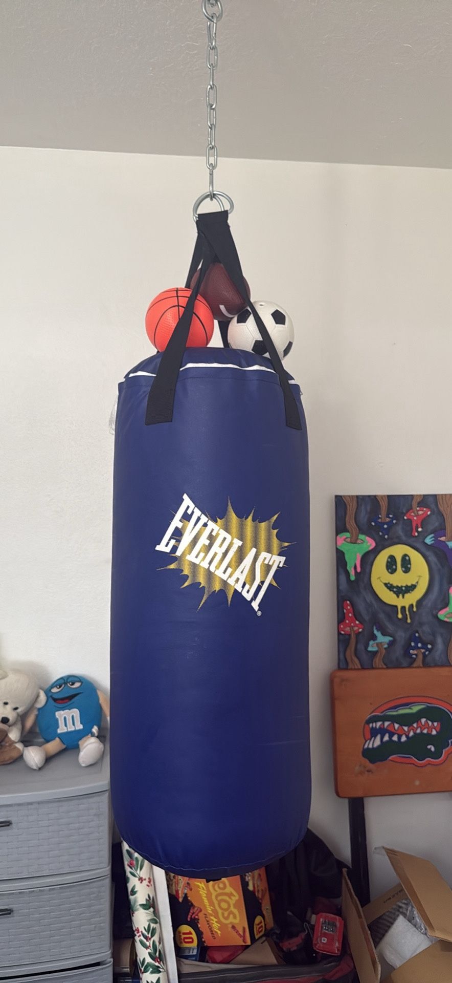 50 pound Everlast Boxing bag With hanger and nails included (No Box)