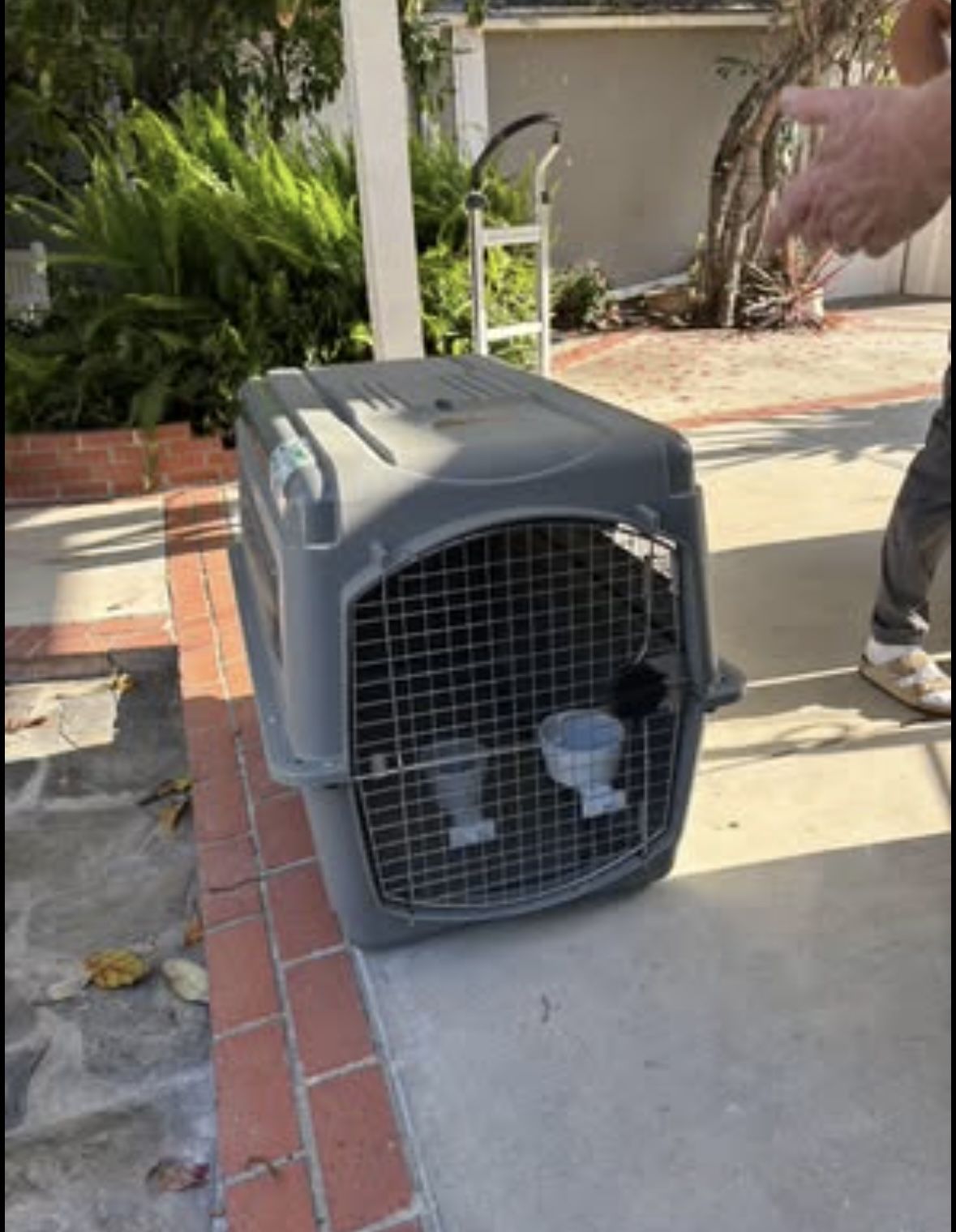 Dog Kennel $50