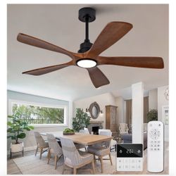 Modern Ceiling Fan