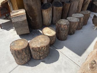 Wood Stumps 