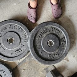 Bumper Plates 