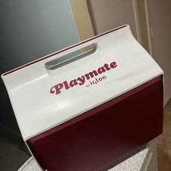 Igloo Playmate Cooler