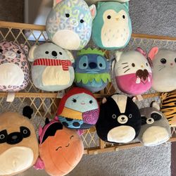 8” Squishmallows And TY