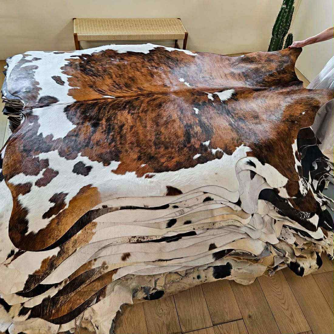 Rugs come get it before it’s gone. Everything must go.