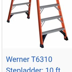 10foot Ladder