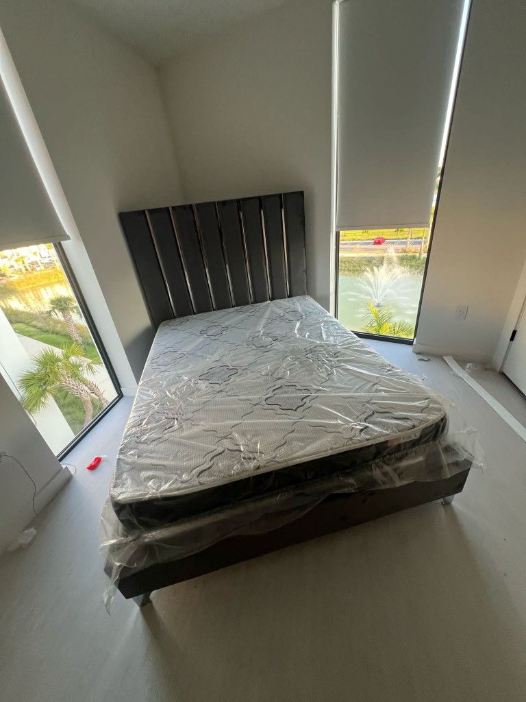Queen Bed For Sale