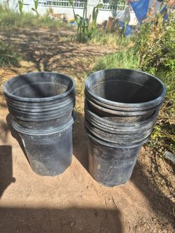 Black Plastic Nursery Pots – Lot of 20+