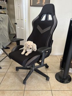 Gaming Chair