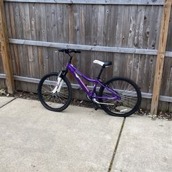 Bike Diamondmike Design Divine