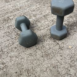 Two 12 Pound Weights $20.