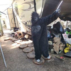 Gorilla Suit 