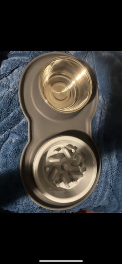 slow feeder bowl