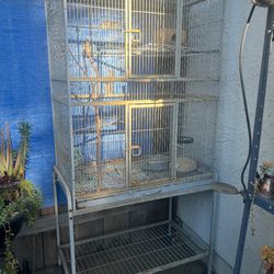 Bird Cage /jaula