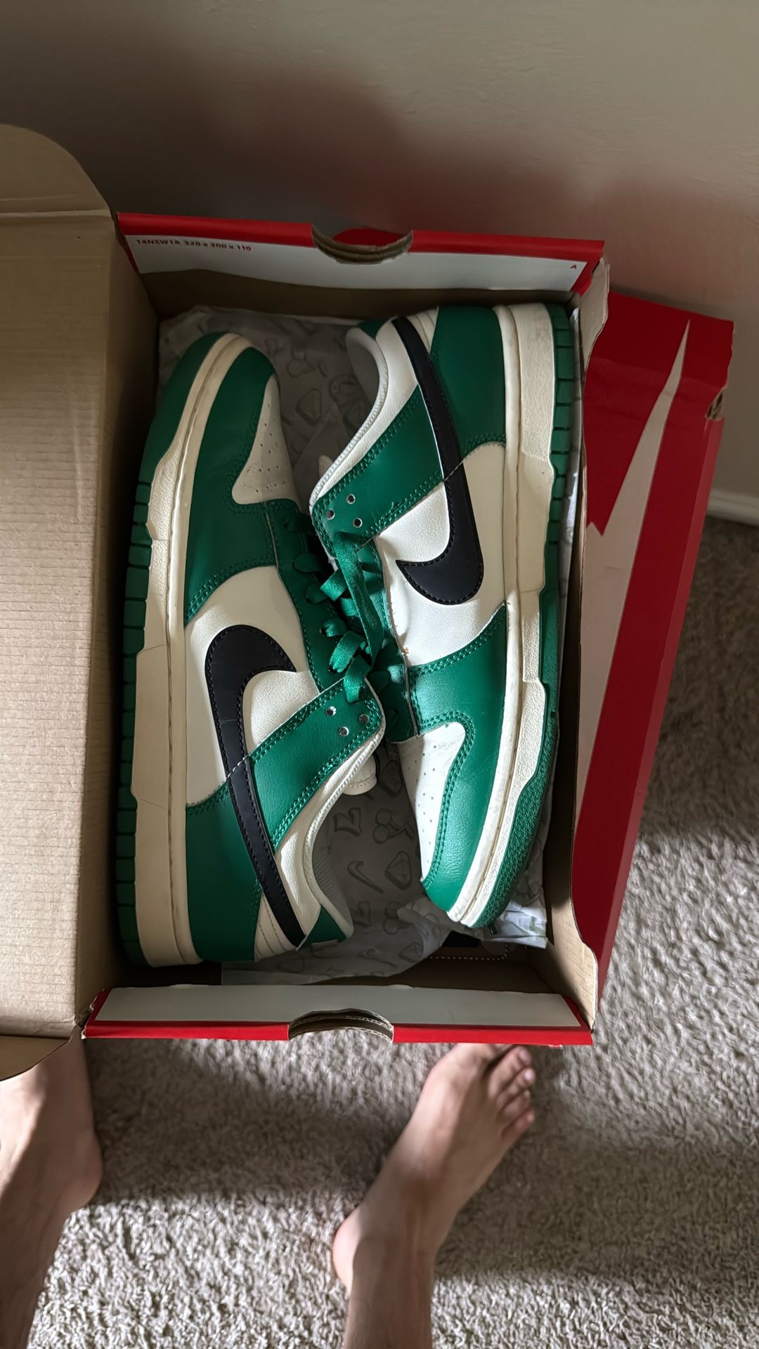 Nike Dunk Sz 9
