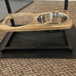 10 Cash Near AV College Heights5in 9in 13in with Spill Proof Mat Raised Dog Bowl for Large Dogs 16.5x16 inch