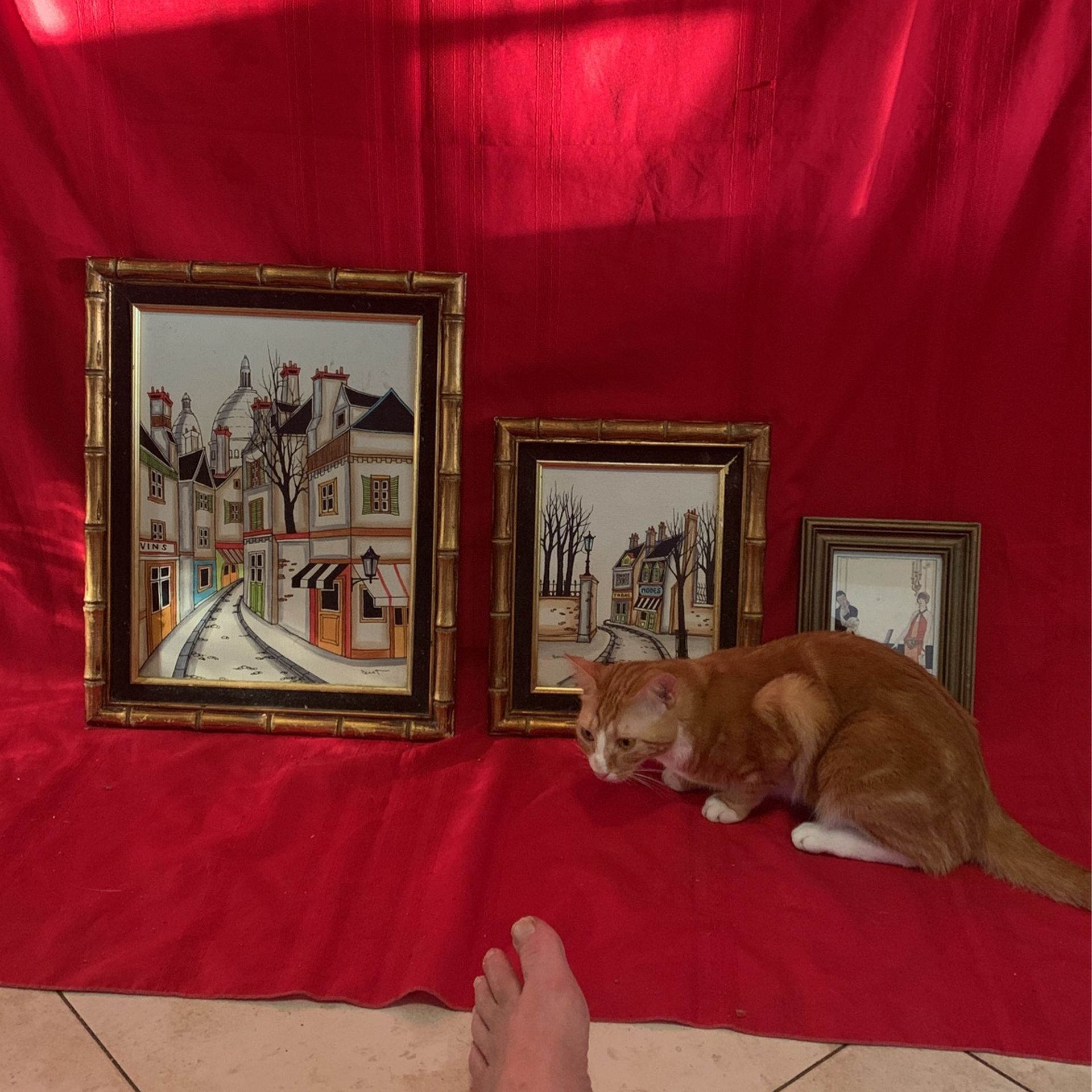 Paris Behind Notredam