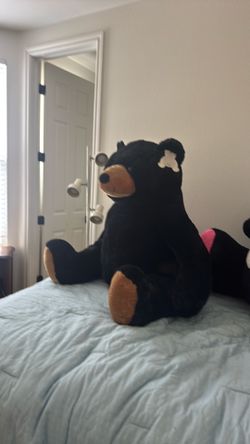 Black Bear
