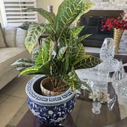 Pot :  With Fake Plants