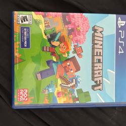 Minecraft PS4 Starter Pack (tokens Not Included)