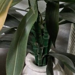 Ceramic Vase - Approx 16 x 10 (2 available)