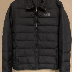 The North Face Mens Downfilled Summit Series Coat 