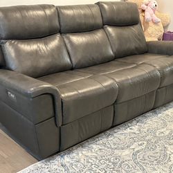 Powered Recliner Genunie leather sofa