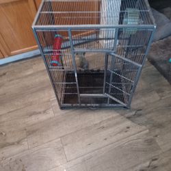 Bird Cage 