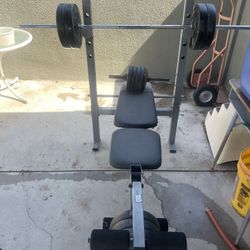Work Out Bench And Weights