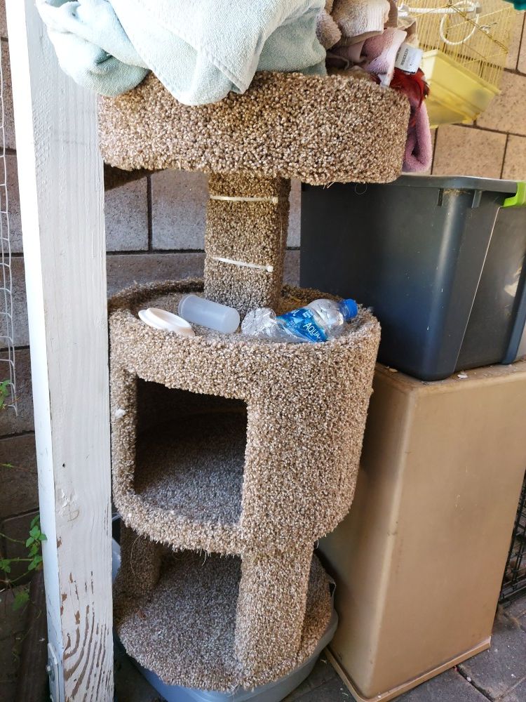 Cat tree