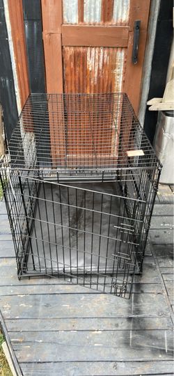 Ex-Large dog Create