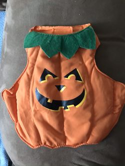 Dog outfit