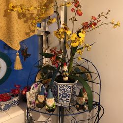 Blue And White Collection 