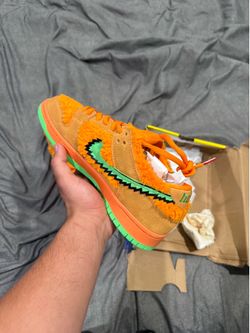 Nike sb