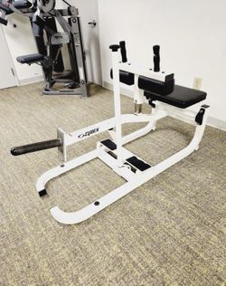 Cybex Calf Machine