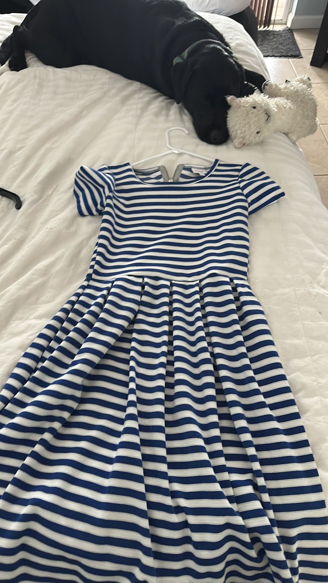LulaRoe Amelia Dress