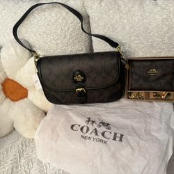 Purse And Wallet 