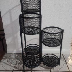 Stands For  6 Plants