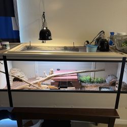 140/40 Gallon Reptile Tank(s)