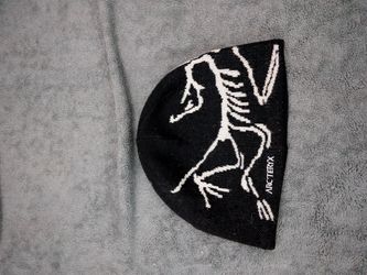 arcteryx beanie
