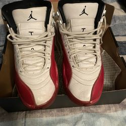 Jordan 12 